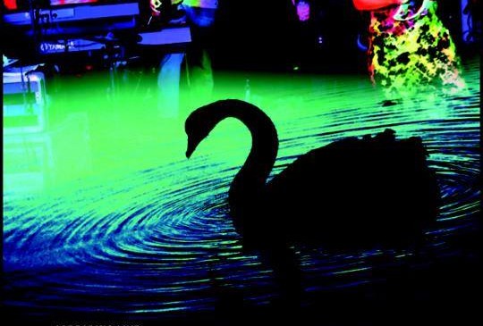 Black-Swan-Poster-3
